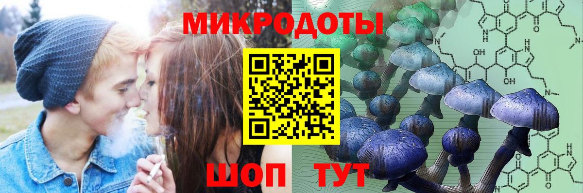 Псилоцибиновые грибы Psilocybine cubensis  Вход с VPN  Арзамас 